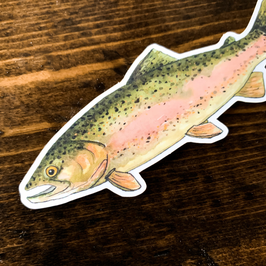 Rainbow Trout Vinyl Sticker