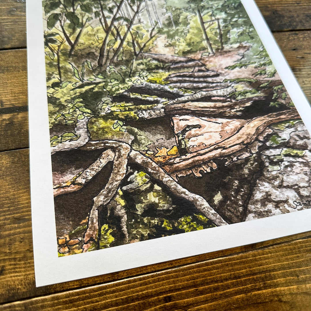 Through the Woods Print