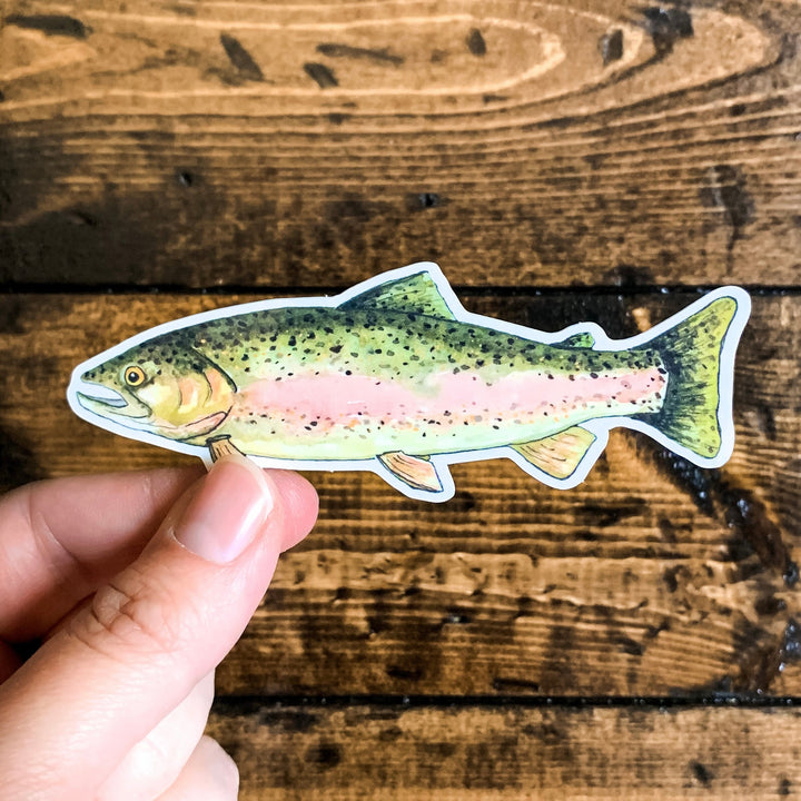 Rainbow Trout Vinyl Sticker