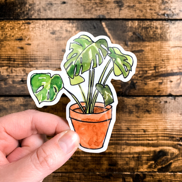 Monstera Plant, Vinyl Sticker