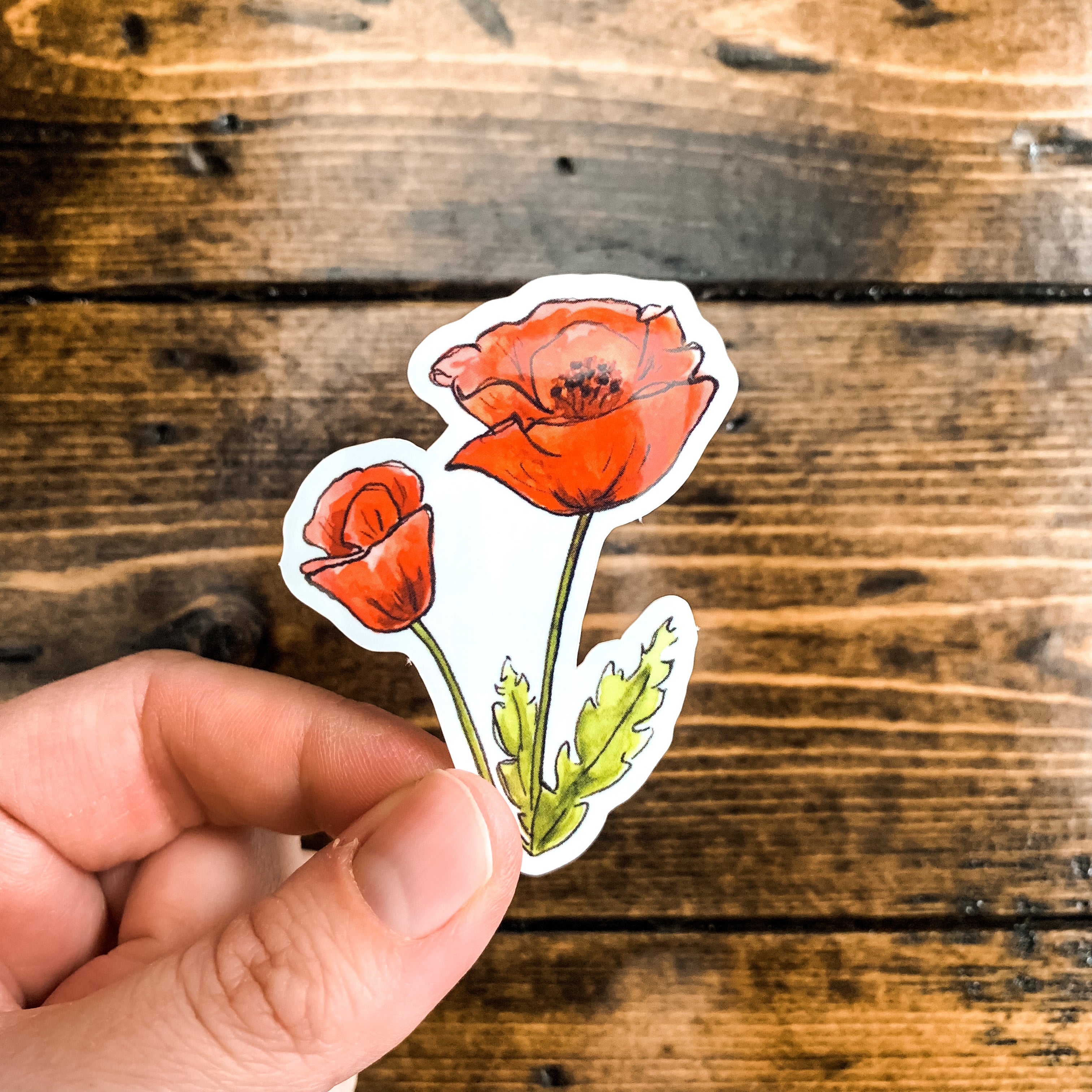 Dawn's Poppy, Vinyl Sticker – Art by SJ Nielsen LLC