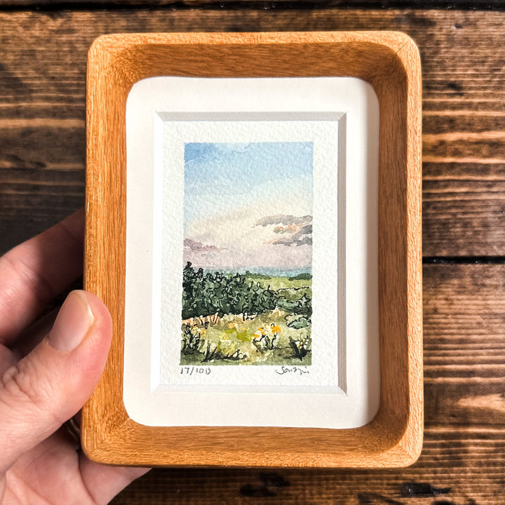 Mini Landscape 