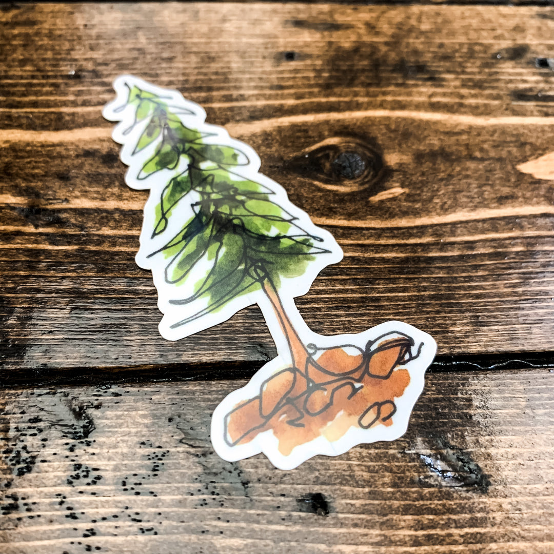 Green Pine Tree, Vinyl Sticker