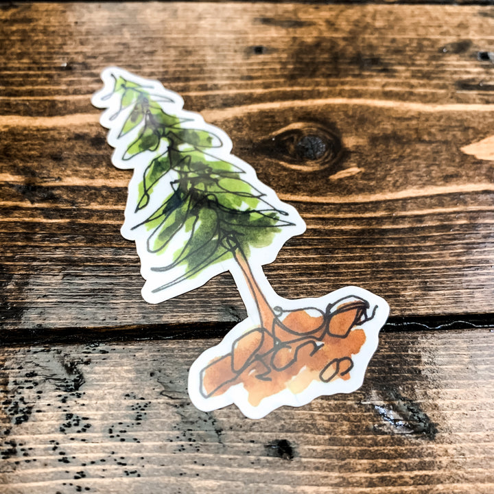 Green Pine Tree, Vinyl Sticker