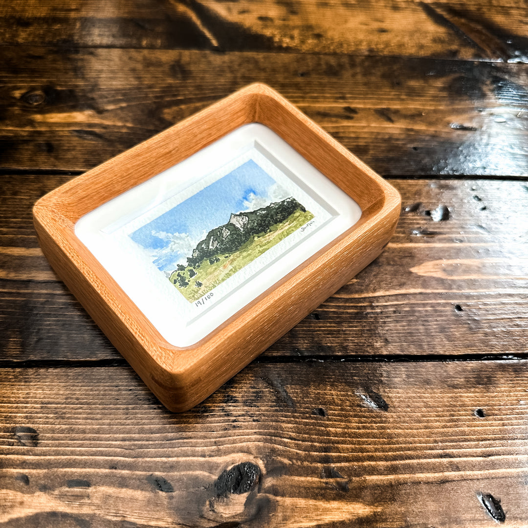 Mini Landscape 