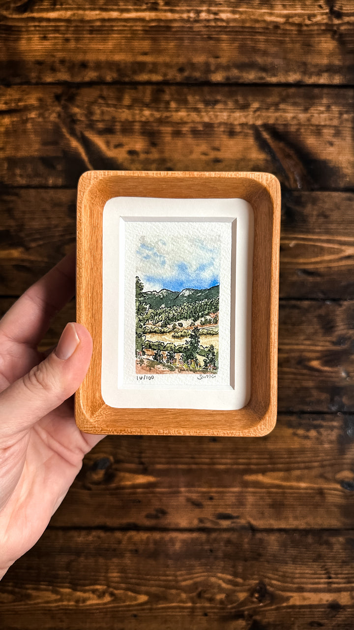 Mini Landscape 