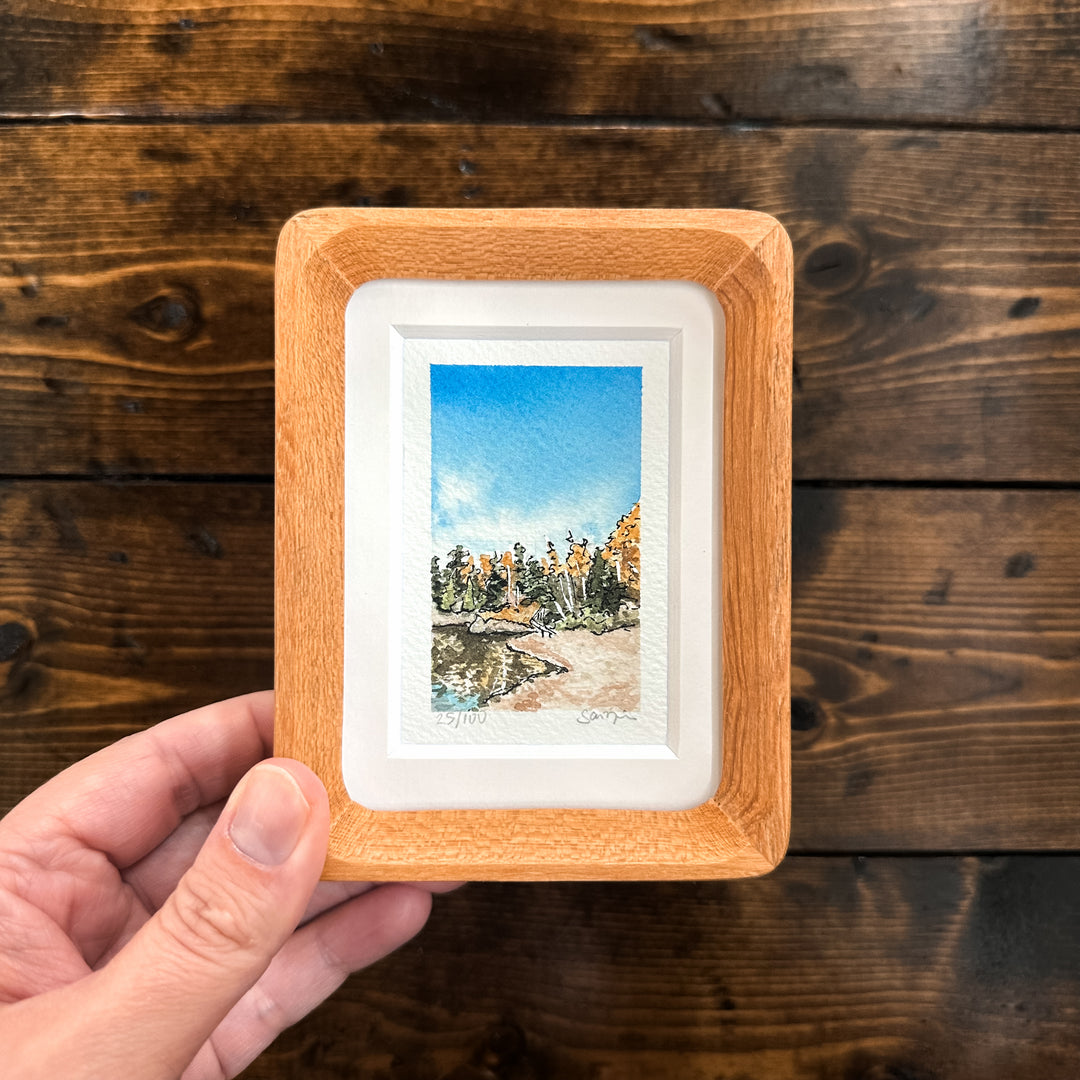 Mini Landscape 